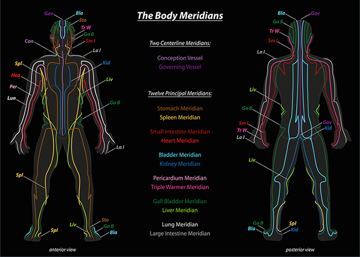 Meridians in the body