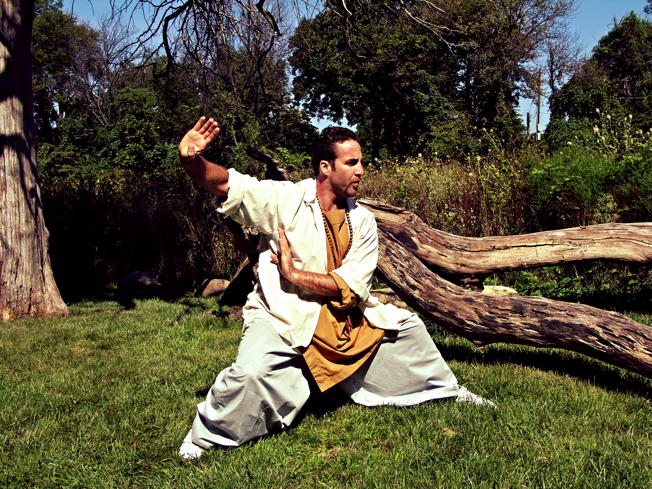 Man practicing kung fu shaoling